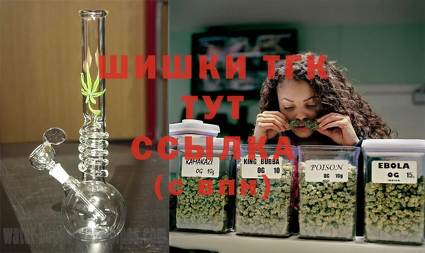ешки Бронницы