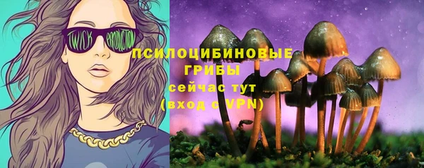 мет Бородино