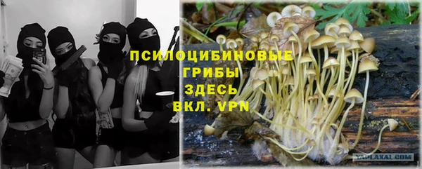мет Бородино