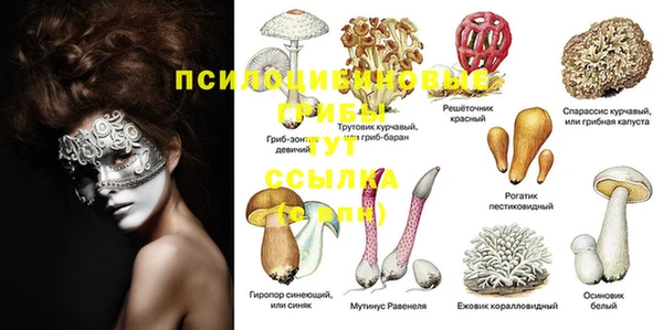 ешки Бронницы