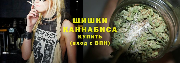 мет Бородино