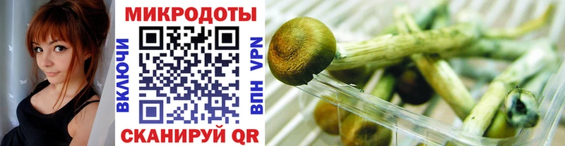 Псилоцибиновые грибы Cubensis  Купить закладки  Ужур 